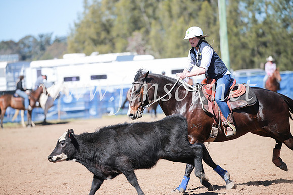 CCCampdraft2016_5855