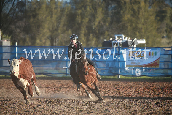 CCCampdraft2016_6787