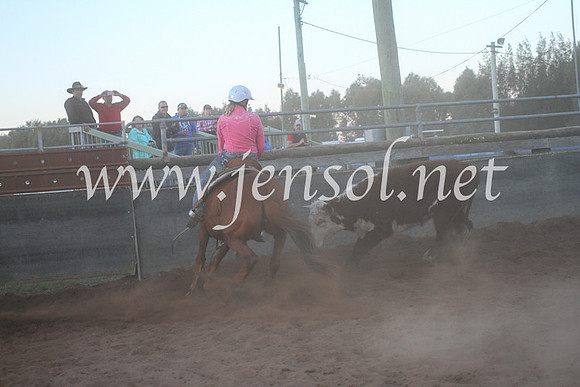 CCCampdraft20167D_0031