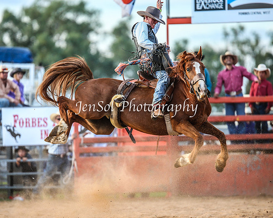 ForbesRodeo2014_2582
