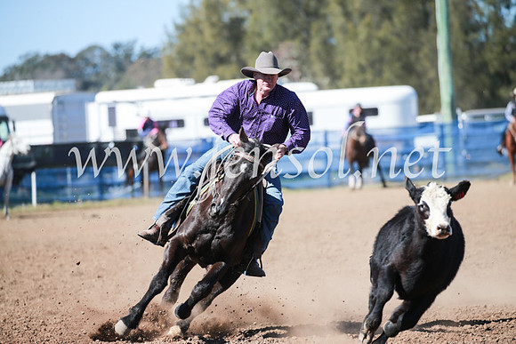 CCCampdraft2016_5533
