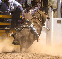 Taralga1_0389