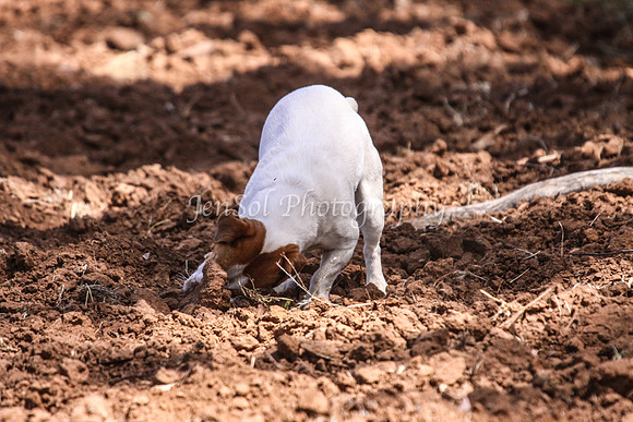 TubbulSat_061110_0338