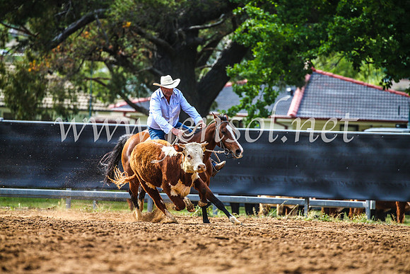 OrangeCampdraft2017_3935