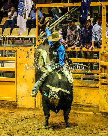 RealDealRodeoFeb2014_1088