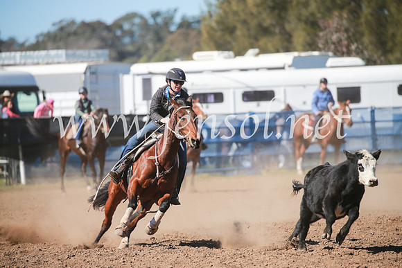 CCCampdraft2016_5497