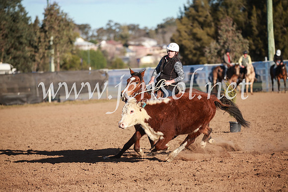CCCampdraft2016_6741