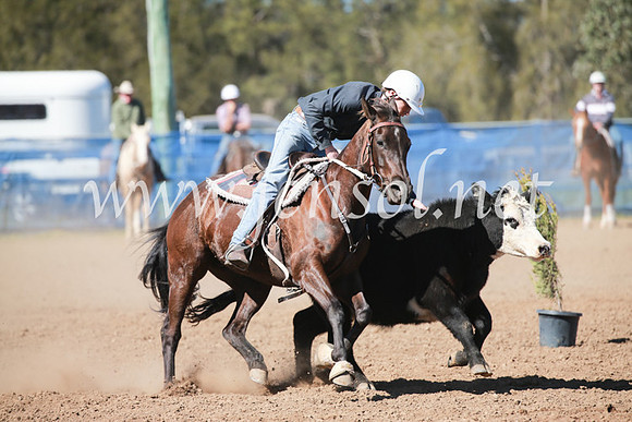 CCCampdraft2016_5625