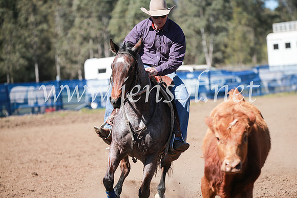 CCCampdraft2016_6032