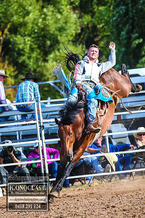 TaralgaRodeo2018_7542