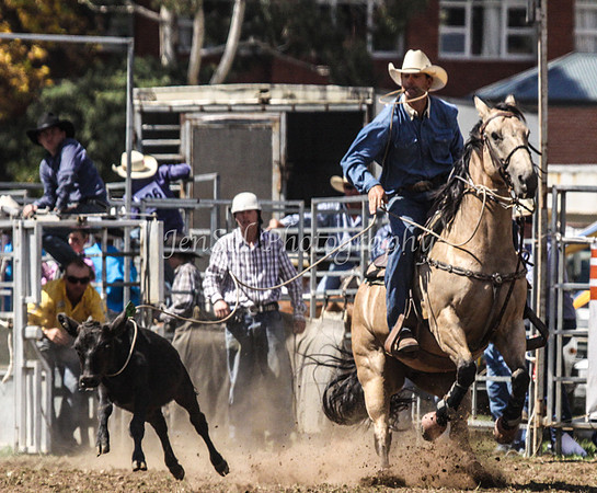 Queanbeyan1_0423