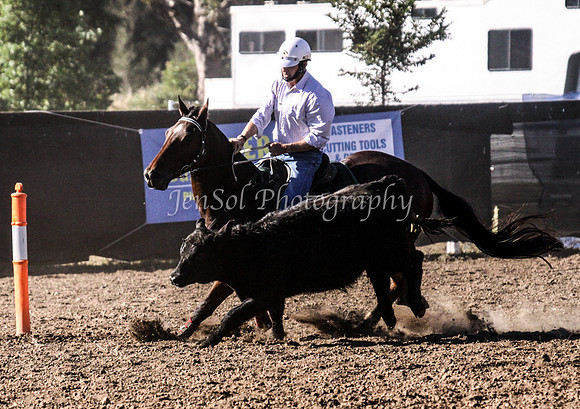 IMG_0247CCCSun