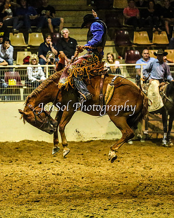 RealDealRodeoFeb2014_1753