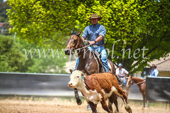 OrangeCampdraft2017_5299
