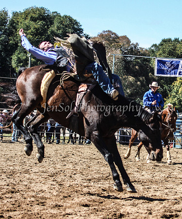 Tumut1b_0389