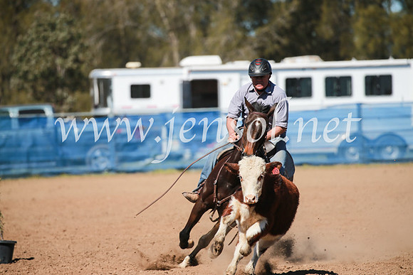 CCCampdraft2016_5822