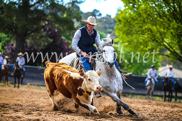 OrangeCampdraft2017_3950