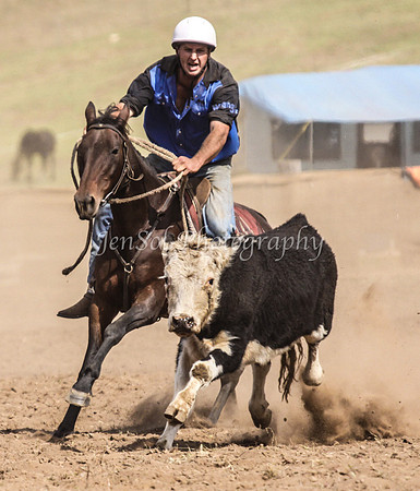 IMG_0559CabSat