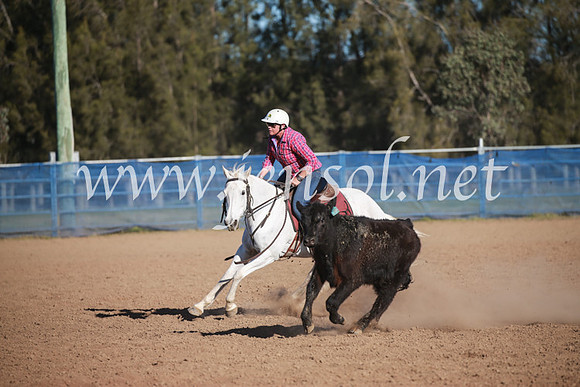 CCCampdraft2016_6488