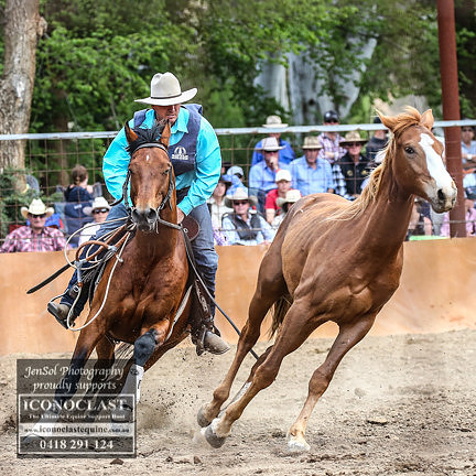 BOTBSunFinals-890