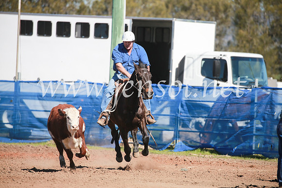 CCCampdraft2016_5787