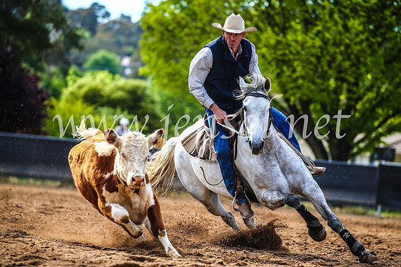 OrangeCampdraft2017_3956