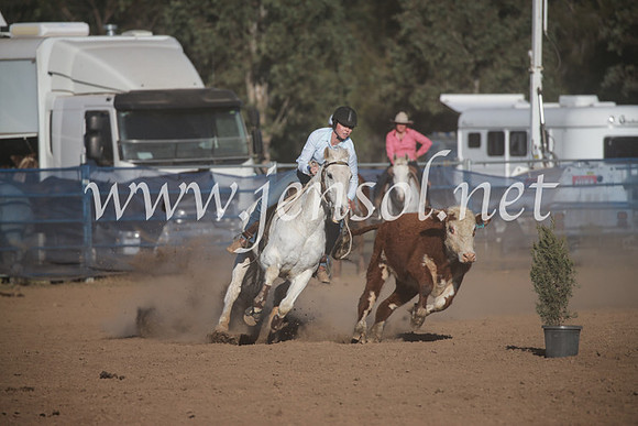 CCCampdraft2016_6522
