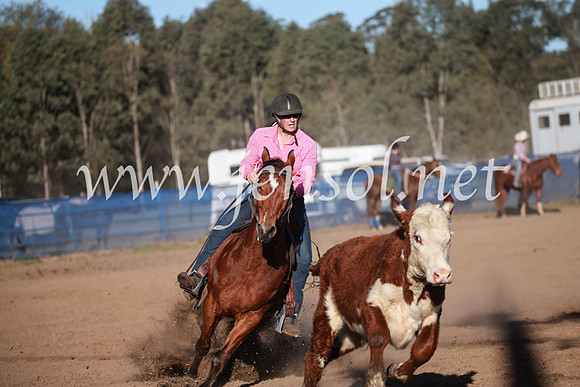 CCCampdraft2016_6571