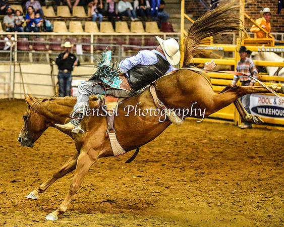 RealDealRodeoFeb2014_0663