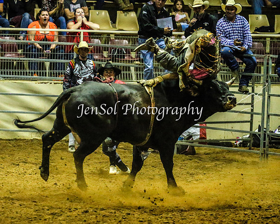 RealDealRodeoFeb2014_1153