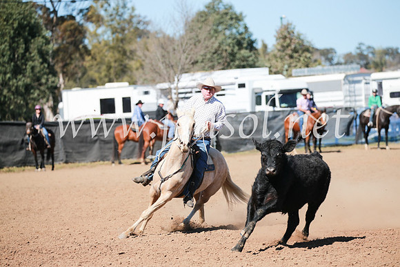 CCCampdraft2016_5969