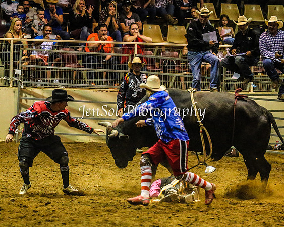 RealDealRodeoFeb2014_1156