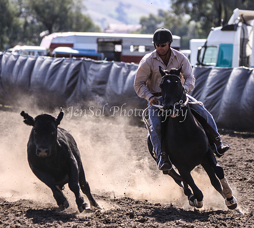 Gundi5_0215