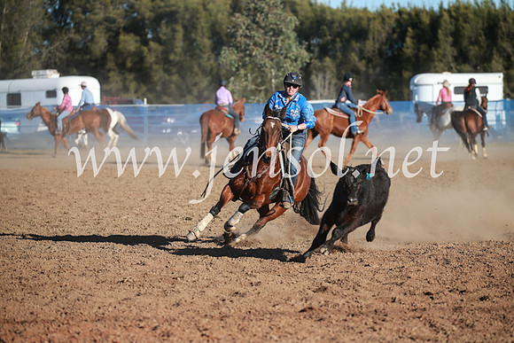 CCCampdraft2016_6622