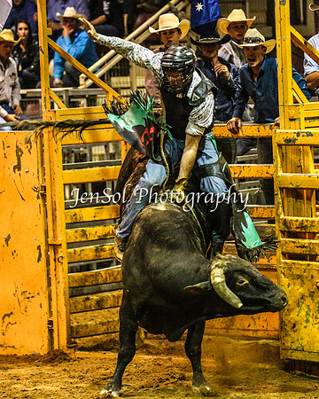 RealDealRodeoFeb2014_1687