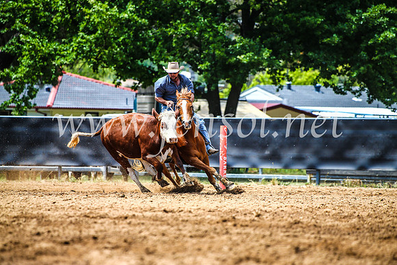 OrangeCampdraft2017_4737