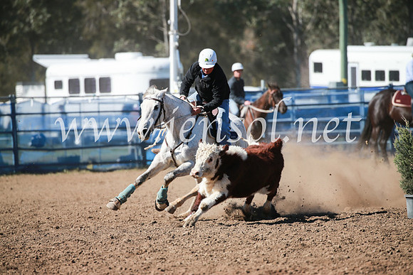 CCCampdraft2016_5528
