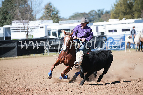CCCampdraft2016_5802