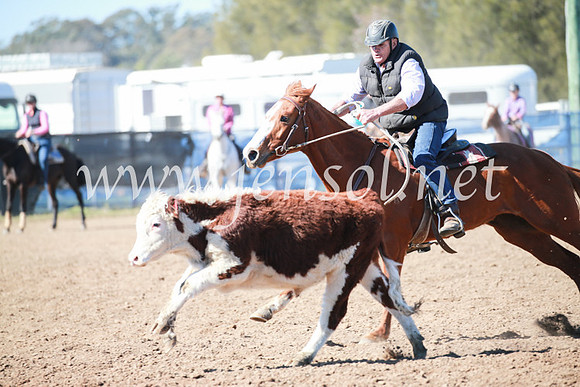 CCCampdraft2016_5391