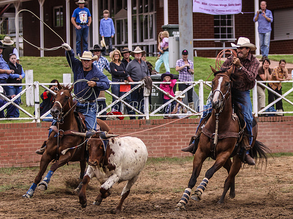 Cooma1_0163