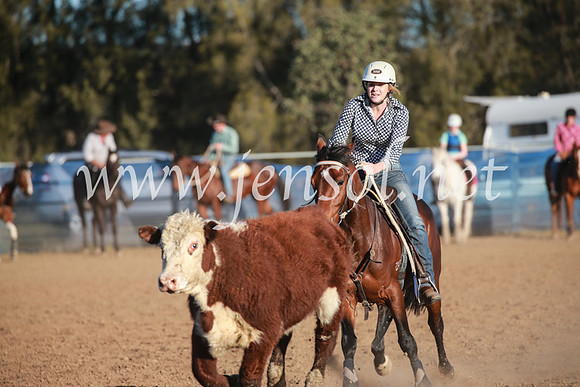 CCCampdraft2016_6697