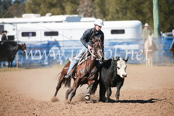 CCCampdraft2016_5624