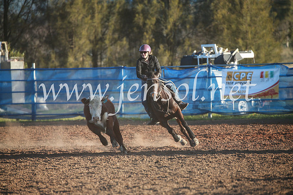 CCCampdraft2016_6885