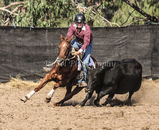 GundiOpen1_0178