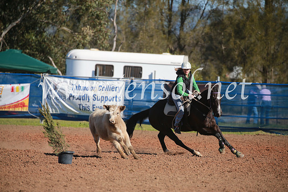 CCCampdraft2016_6183