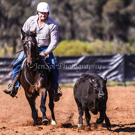Wwyalong0240