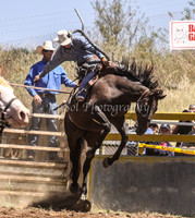 Taralga1_0286