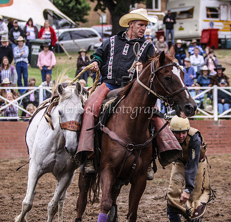 Cooma1_0815