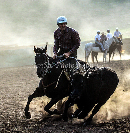 IMG_0053CabSat