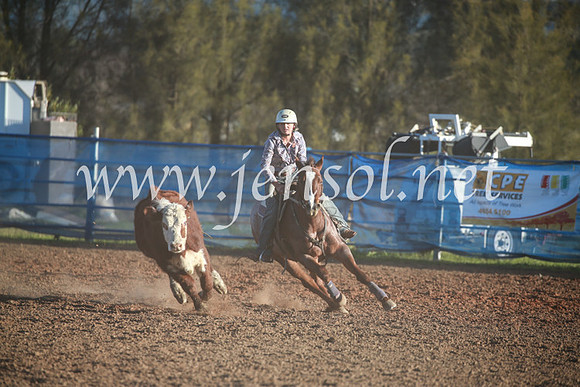 CCCampdraft2016_6737